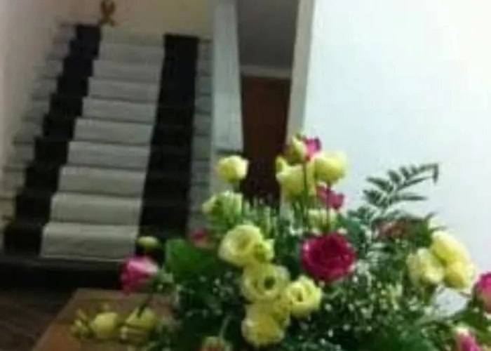 Nel Fabbricato Denominato Il Castello * 普拉亚·阿马勒